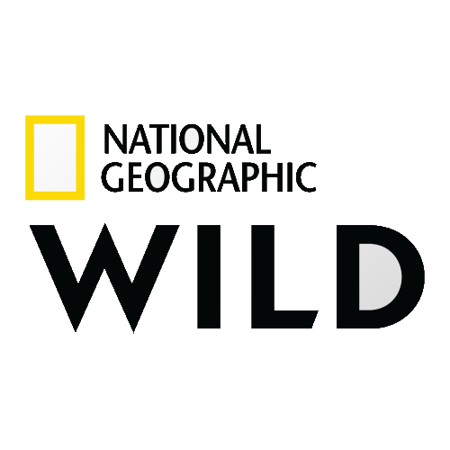 National Geographic Wild logo